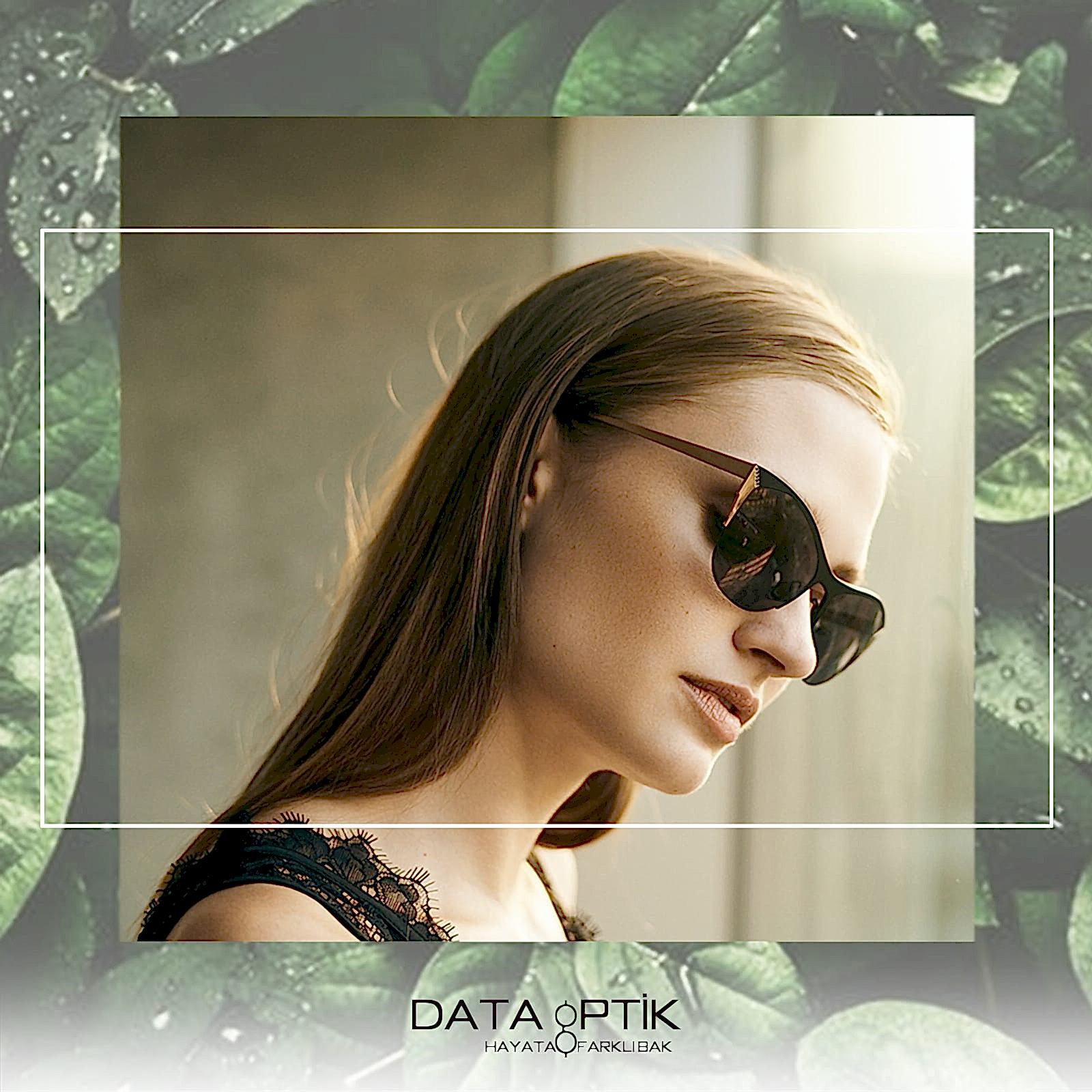 Data Optik
